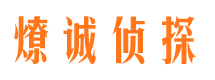 镇沅市婚外情调查